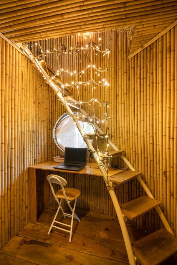 Cocohut Hoi An Homestay Exterior foto